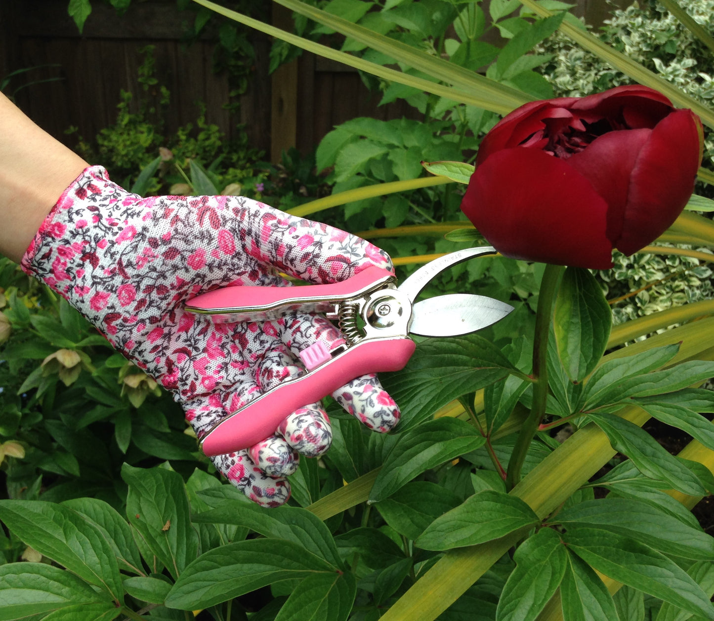 Petal Power Ladies Garden Gloves (2 pairs) & Mini Pruner Secateurs Set - Perfect Ladies Garden Gift