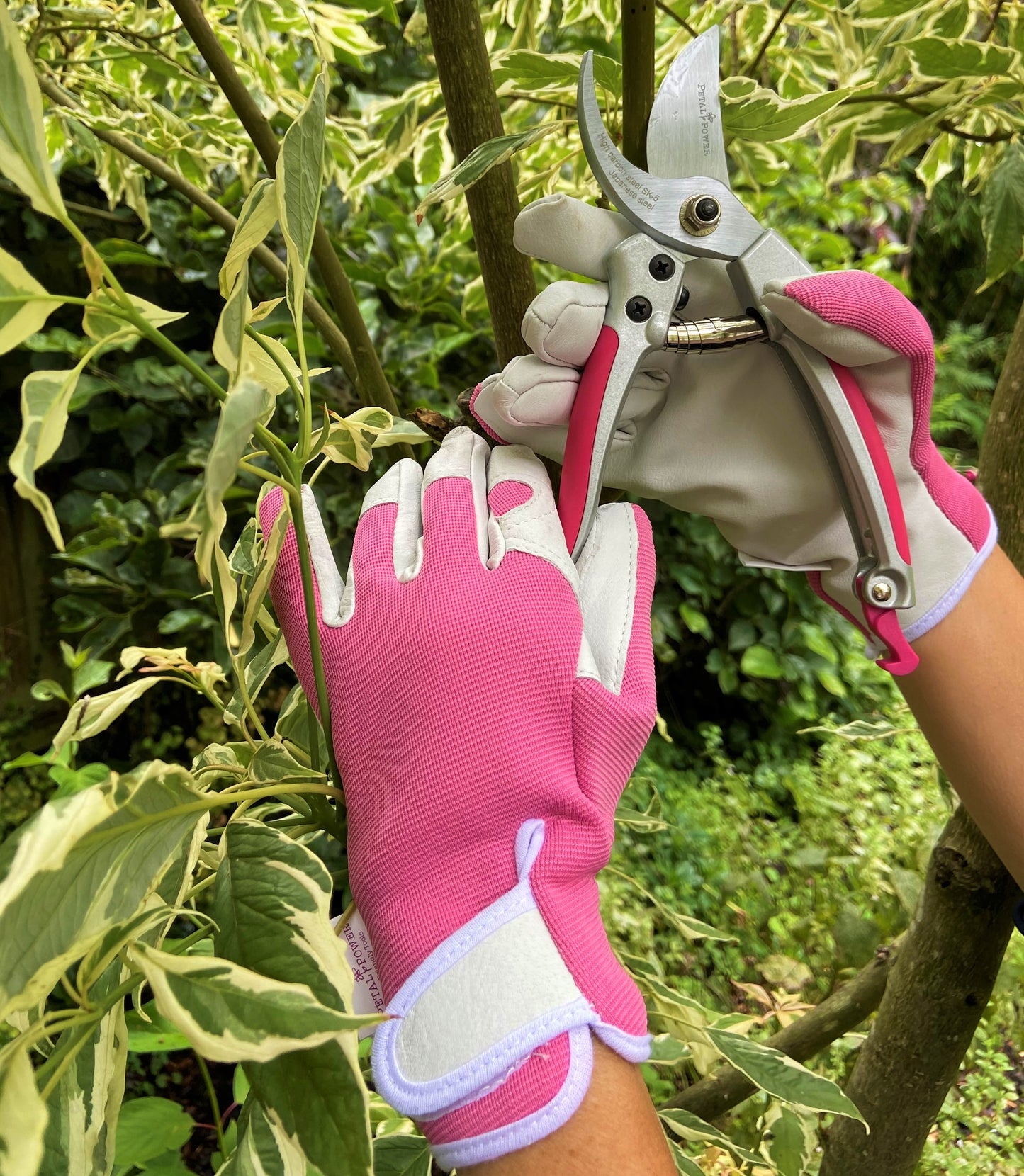 Petal Power Ladies Garden Secateurs - Premier Deluxe Quality Razor Sharp Gardening Pruners