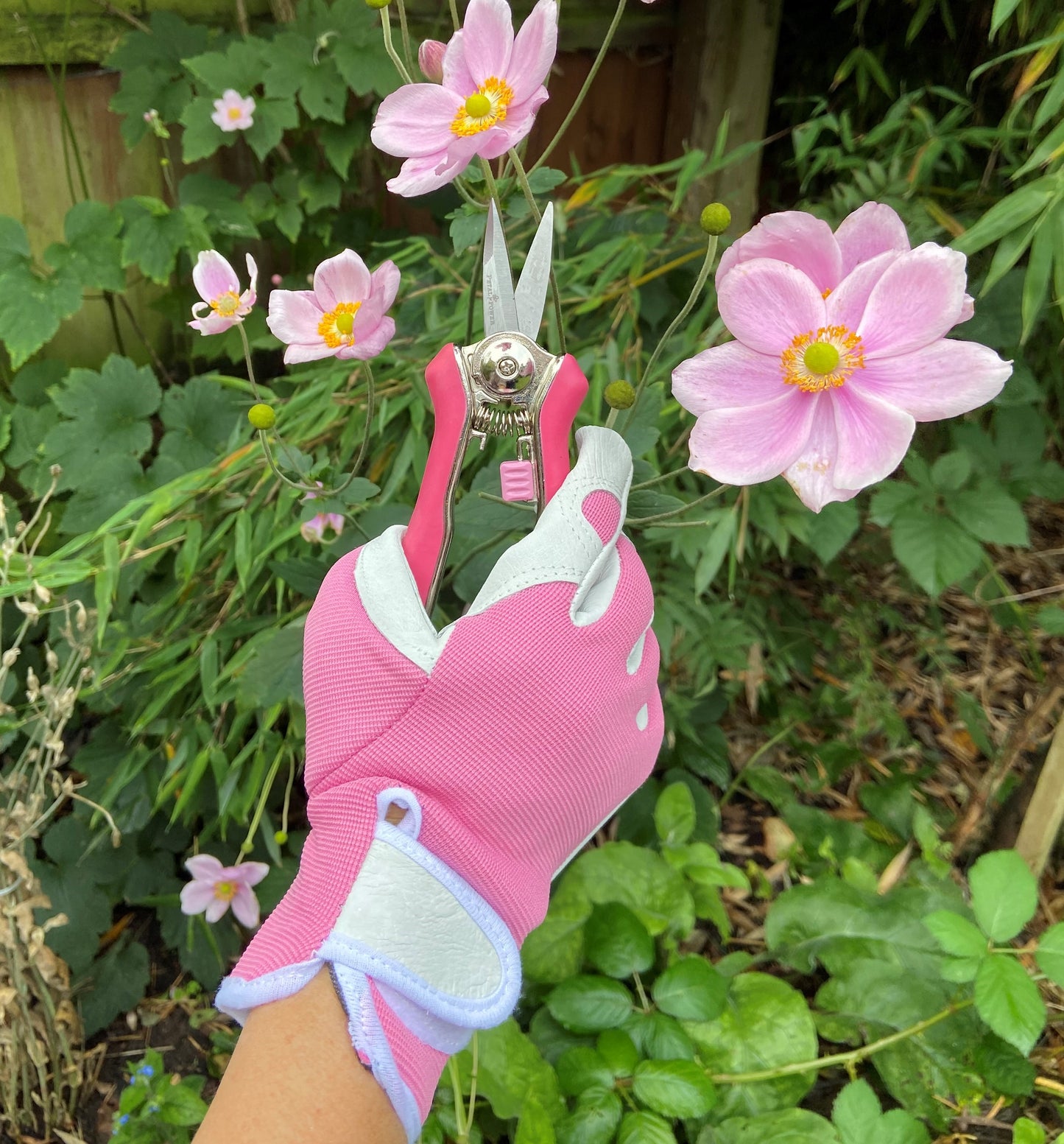 Ladies Leather Gardening Gloves and Mini Secateurs Set - Best Ladies Garden Gift