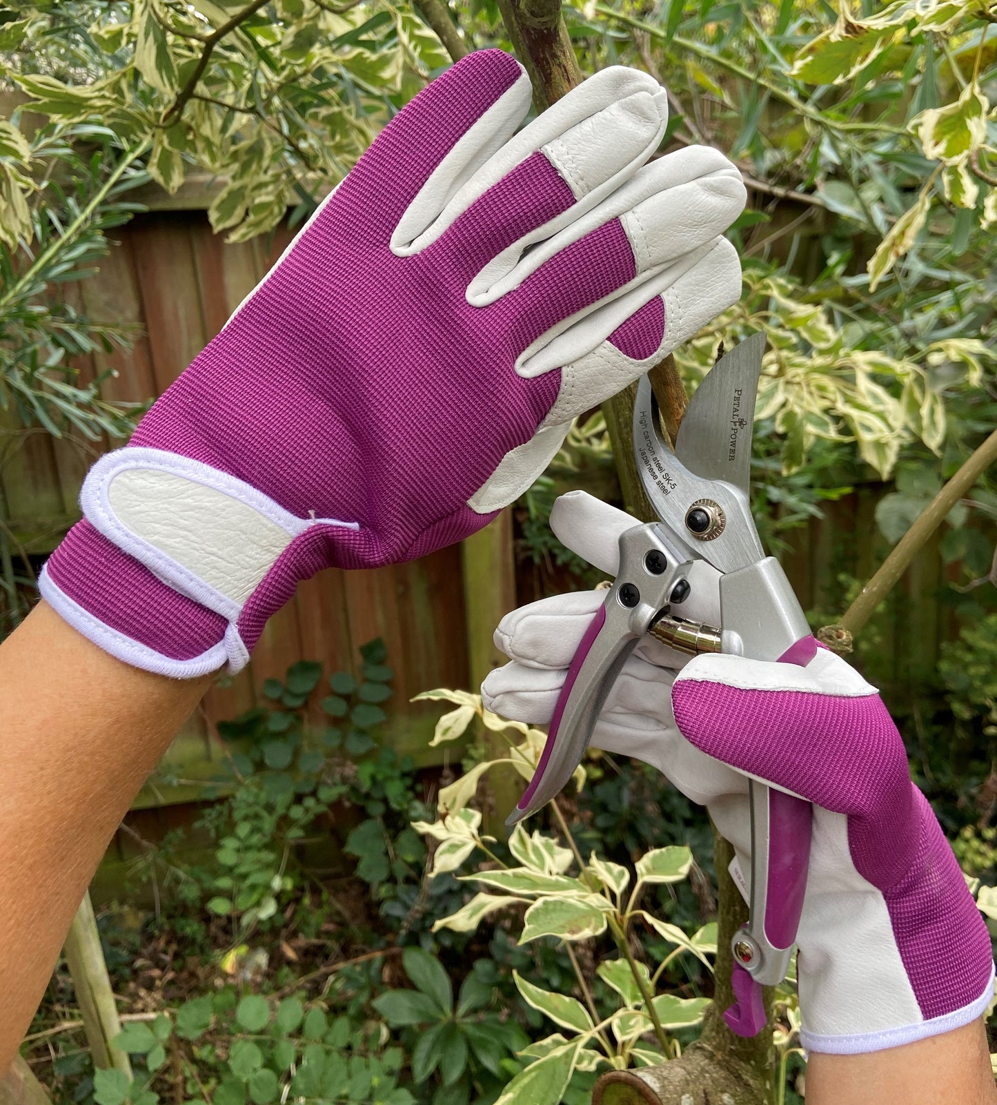Petal Power Ladies Garden Secateurs - Premier Deluxe Quality Razor Sharp Gardening Pruners