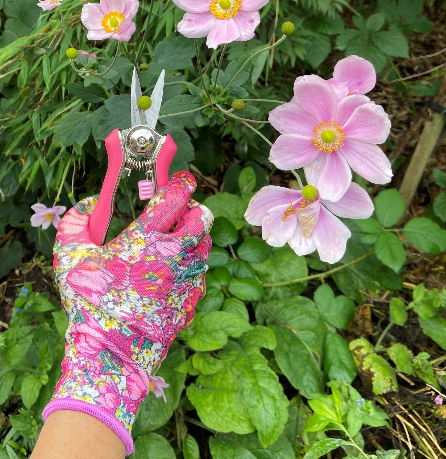 Petal Power Ladies Garden Gloves (2 pairs) & Mini Pruner Secateurs Set - Ladies Garden Gift
