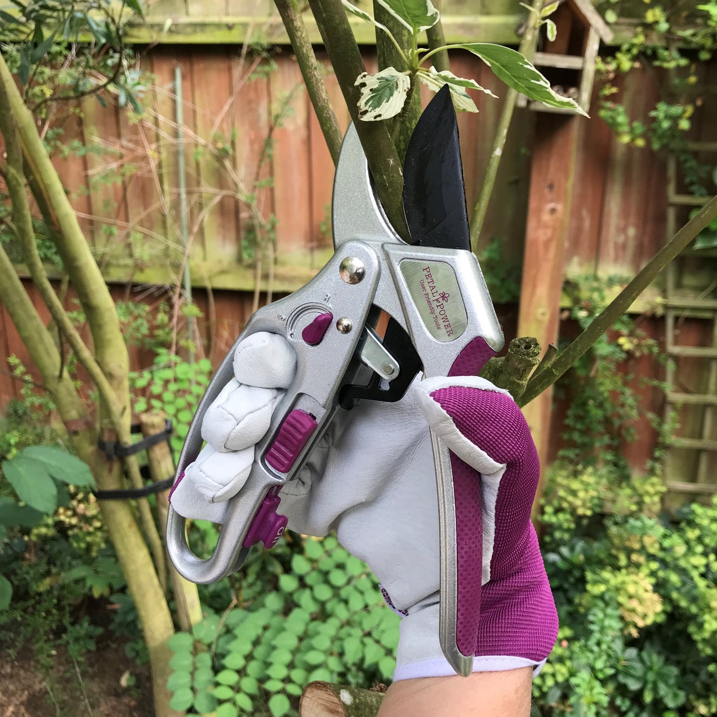 Petal Power Ladies Gardening Glove & Ratchet Pruner Secateurs (Great for weaker hands) Set.