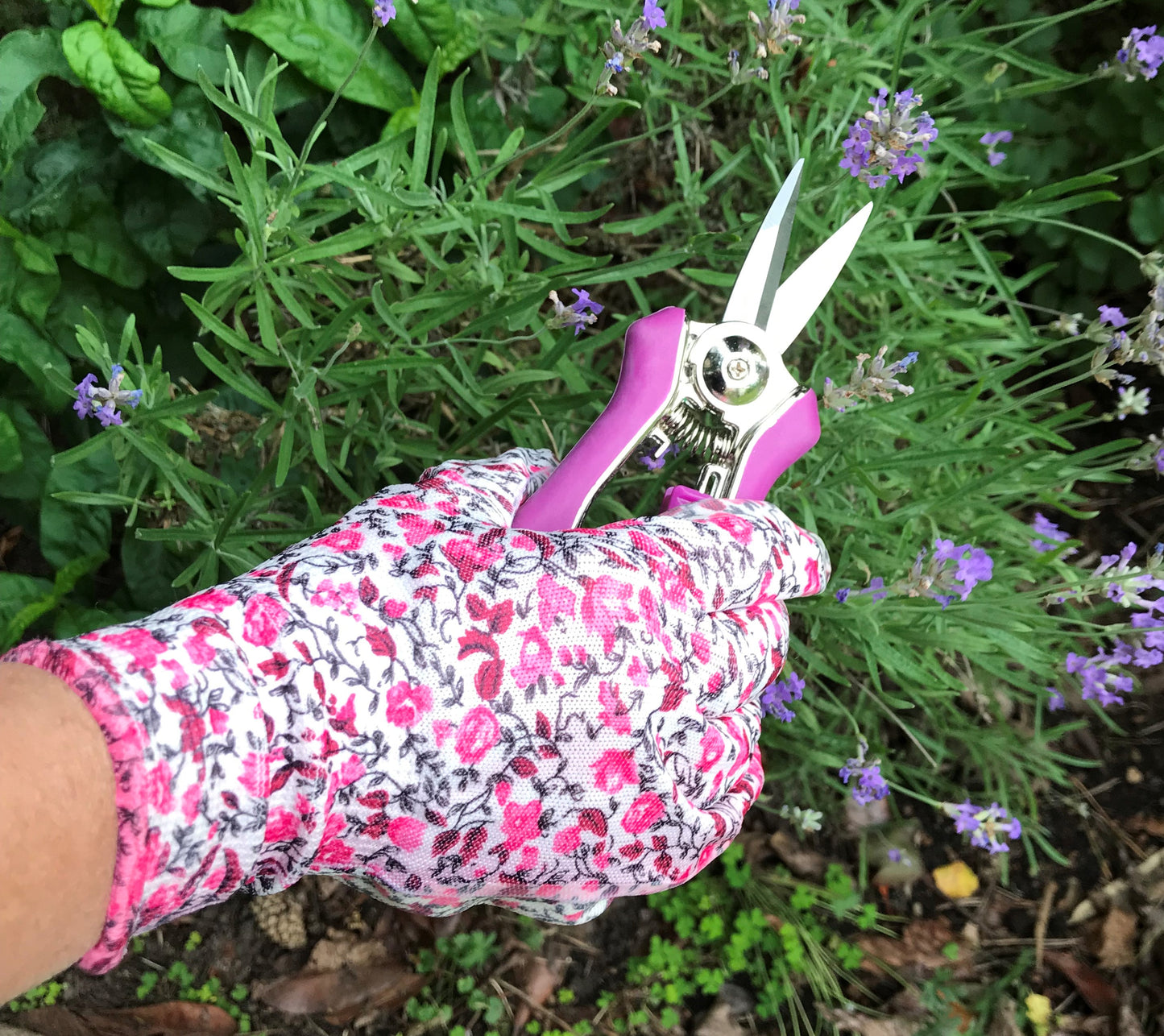 Petal Power Ladies Garden Gloves (2 pairs) & Mini Pruner Secateurs Set - Perfect Ladies Garden Gift
