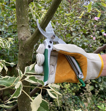 Load image into Gallery viewer, Petal Power Men&#39;s Leather Gardening Gloves &amp; Bypass Secateurs Set - Ideal Garden Gift for men
