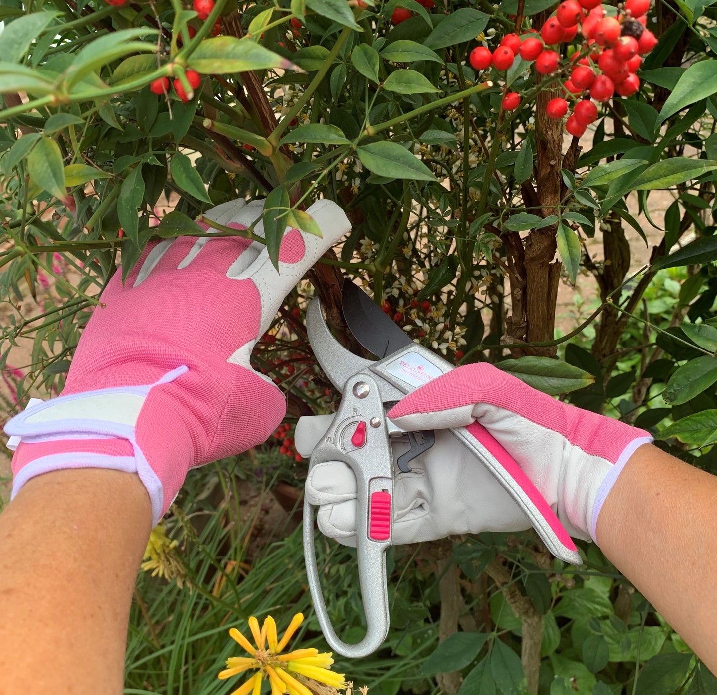 Petal Power Ladies Advanced 2-in-1 Ratchet Pruner Secateurs - 5 X Power Gardening Secateurs