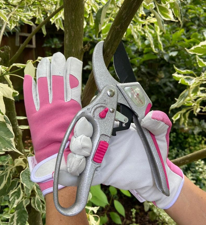 Petal Power Ladies Advanced 2-in-1 Ratchet Pruner Secateurs - 5 X Power Gardening Secateurs